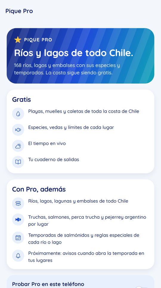 Pantalla de Pique Pro con lo que incluye cada plan